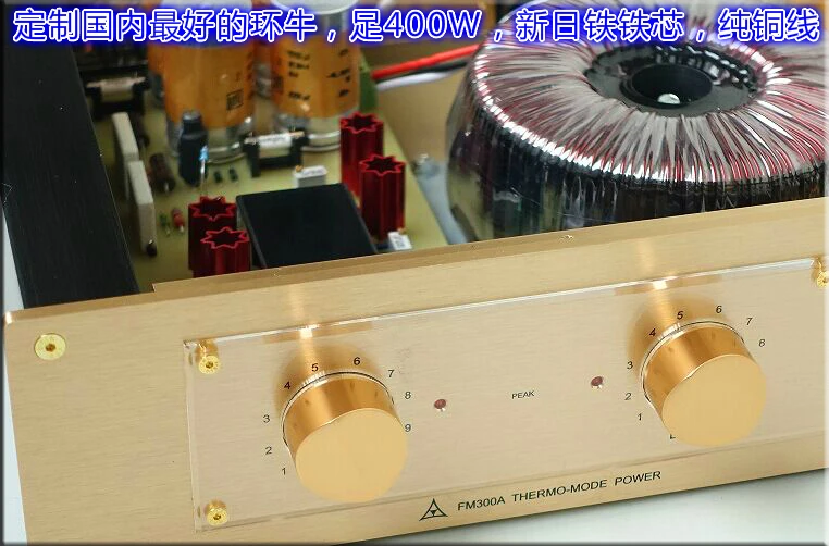 Новый усилитель FM акустика FM300A классический скопированный/клон с чистым