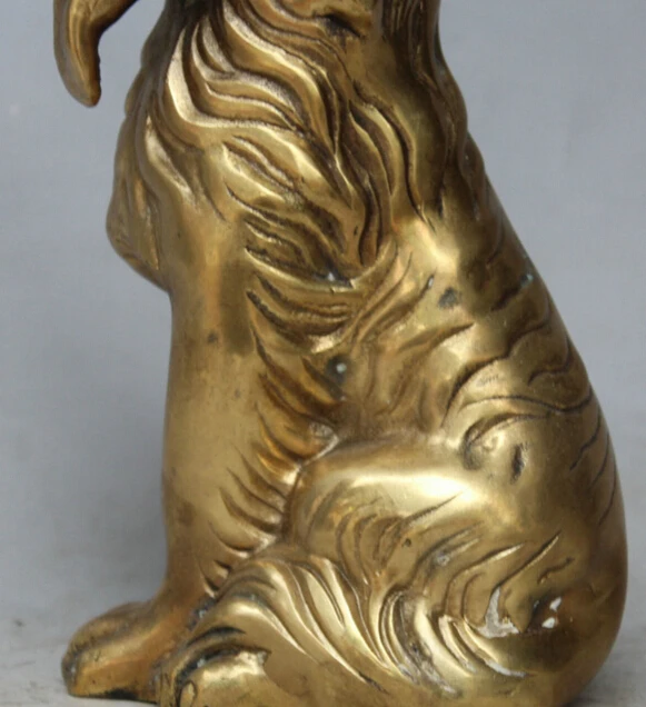 8 &quotКитайский народный латунный зодиакальный год фэн шуй собака верный охранник