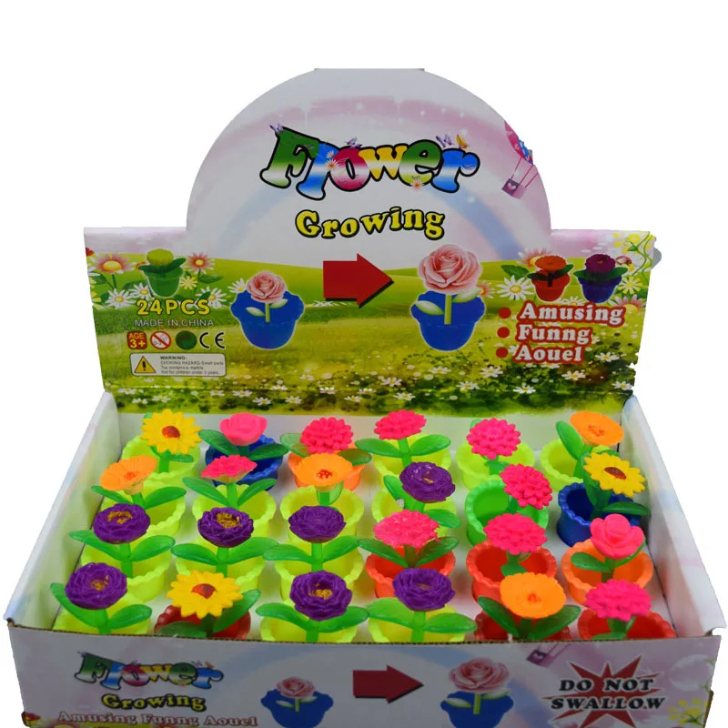 2016 Оригинальные забавные растения для выращивания воды цветы растущие