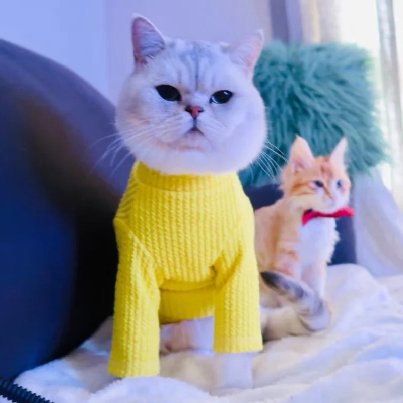 [MPK кошачьи свитера] дизайн SWD Cat свитер, свитер для собак, свитер для домашних животных, зимняя одежда для домашних животных