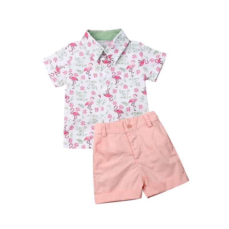 

2019 Toddler Kids Baby Boy Short Sleeve Flamingo Print Shirt Tops Short Pant Beachwear Summer 2PCS Formal Outfits Clothes Set