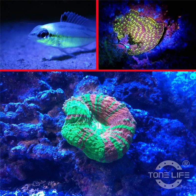 Маска для дайвинга желтый фильтр фтордайвинг маска и ремешок (барьер) | Спорт