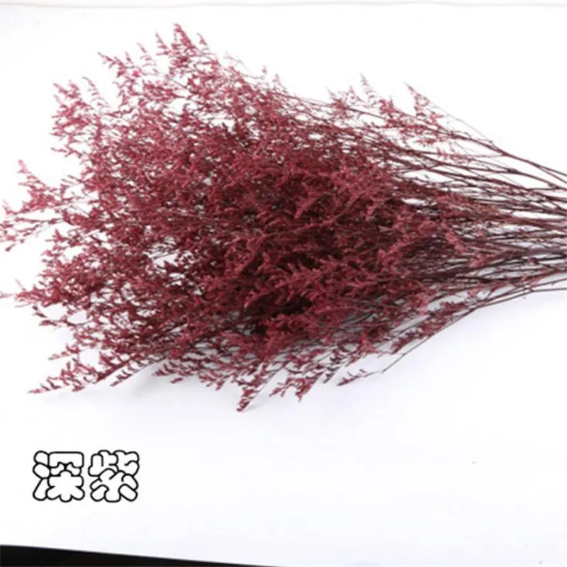 color 5 Сушеная трава для влюбленных, 1 набор 45-50 см, сделай сам, Свадебная вечеринка, реквизит для фотосессии, чистое натуральное растение, сушеные цветы, кафе, библиотеки, украшение для дома - Цвет: color 5