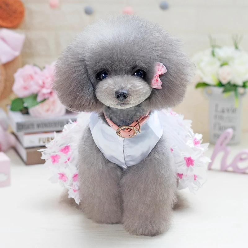 Геометрический цветок Чихуахуа собака свадебное платье розового и фиолетового