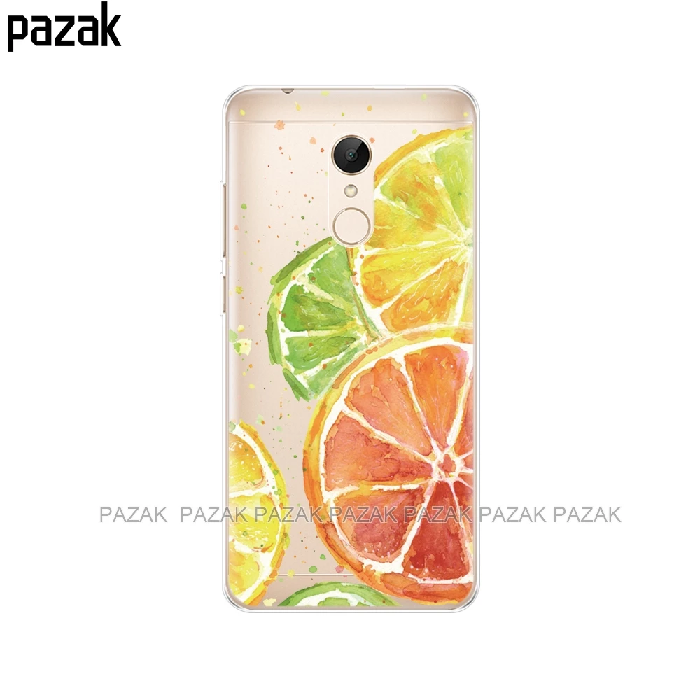 Силиконовый чехол для телефона для Xiaomi Redmi 5, 5,7 дюймов, Xiaomi Redmi 5 Plus, 5,99 дюймов, чехол s для hongmi Redmi 5 plus, чехол для телефона - Цвет: 34248