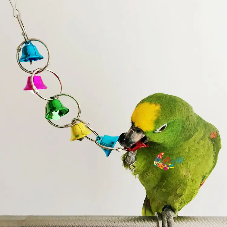 

Parrot things bird toy bells string toys