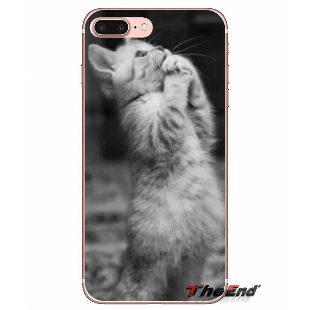 Для Apple iPhone X 4 4S 5 5S SE 5C 6 6S 7 8 Plus, 6 Plus, 7 plus, 8 plus, Fundas Coque довольно молитвы котята коты силиконовые чехол - Цвет: images 9