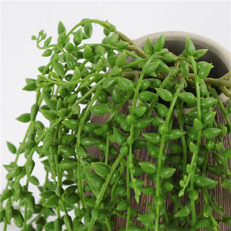 Искусственные суккуленты 1 шт. искусственные подвесные жемчужные ленты