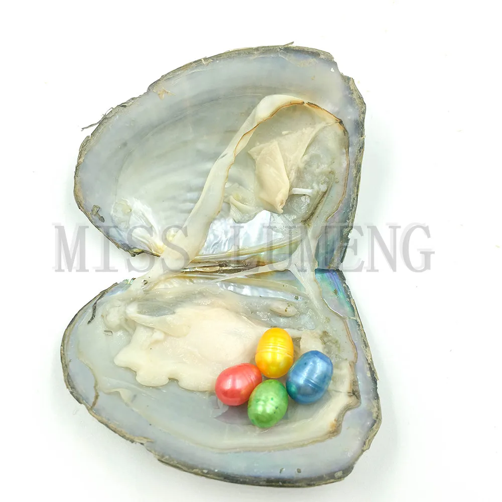 MISS LUMENG Natural Pearl Freshwater Oyster with 8-10mm 30pcs Rice 12 Color quads DIY Birthday Gifts Vacuum-Packed | Украшения и