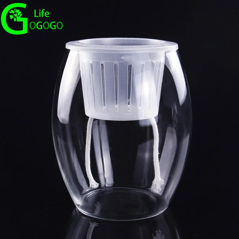 1 шт. яйцо формы прозрачный гидропонное Стекло Цветочные растения ваза с