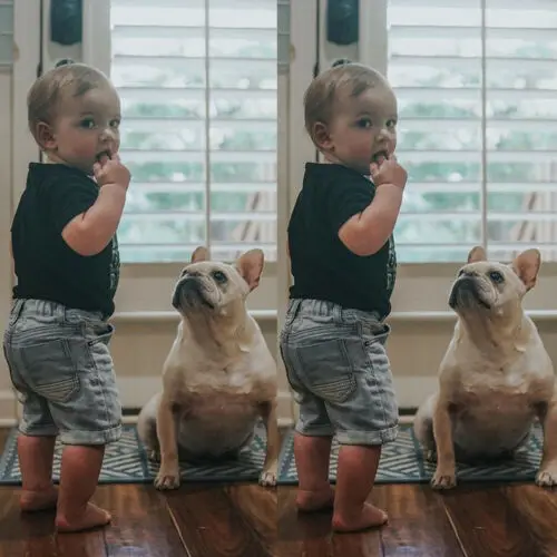 Комплект одежды из 2 предметов для маленьких мальчиков камуфляжная футболка с