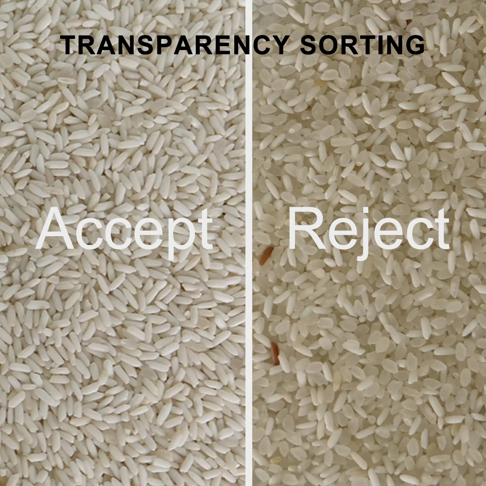 Colour Sorter Broken Rice Paddy Separator Electric Stone Removing Machinery To Process Seeds |