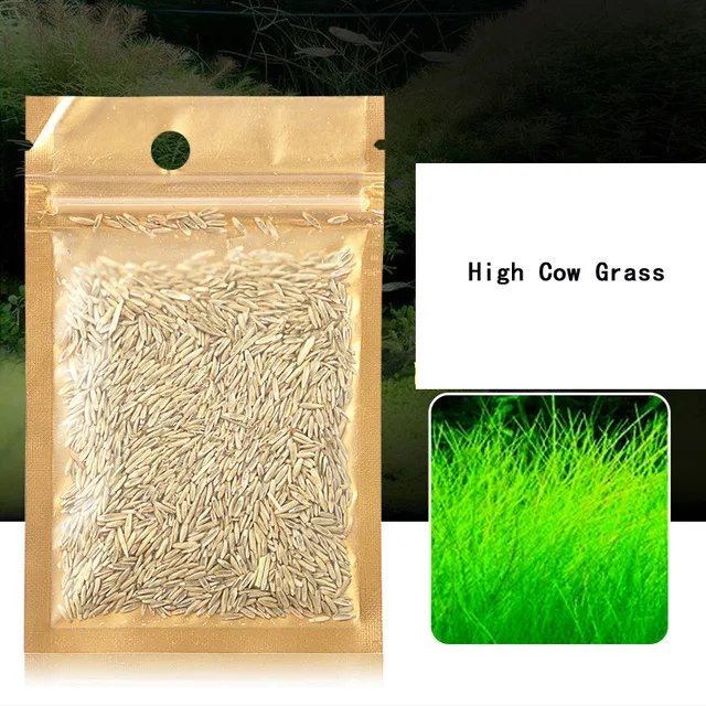 High cow grass Аквариумные растения Семена Водный для воды зеленая вода трава коровья шерсть любовь счастливые семена аквариум Растения украшения Пейзаж орнамент - Цвет: High cow grass