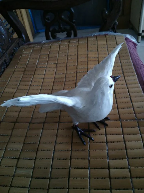 Имитация птицы голубь 34x23 см модель игрушки полиэтилен и мех перья птица мира