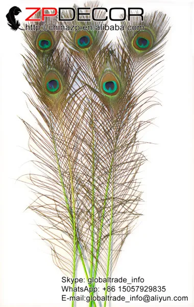 

ZPDECOR 100pieces/lot 40-45cm(16-18inches) High Quality Directly Dyed Lime Green Peacock Feather for Halloween Costume