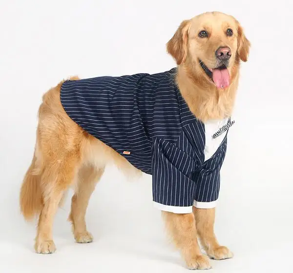 2016 новый дизайн модный костюм в полоску с бантом для большой собаки красивые