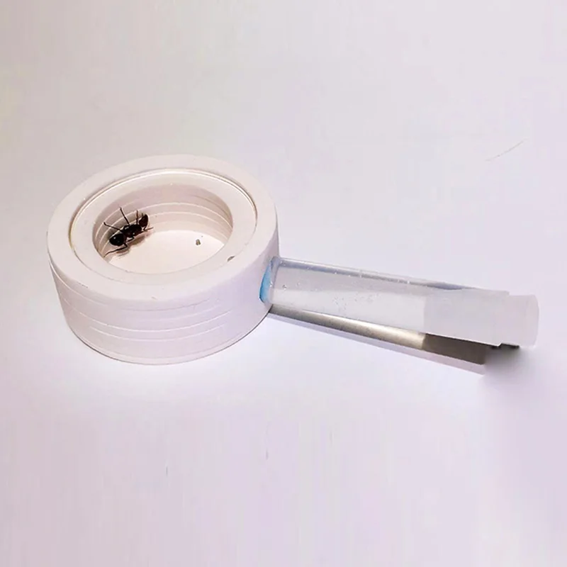 DIY маленький муравей Ферма для нового королева муравей домашнее животное насекомое Муравьиное гнездо муравей 5*5*15 см