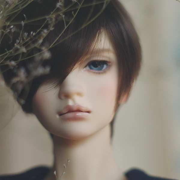Специальное предложение кукла BJD SD 1/3 мужская Ryun|Куклы| |