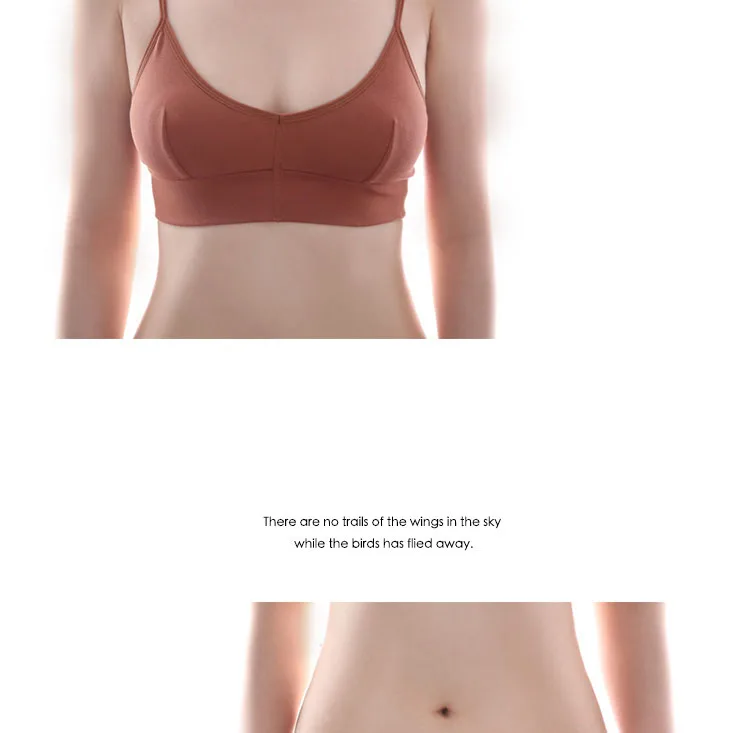 French Bralette Ultra-thin Triangle Cup Bra Set Sexy Back Cotton Underwear Fashion Women Bras Panties Set Elasticity Lingerie