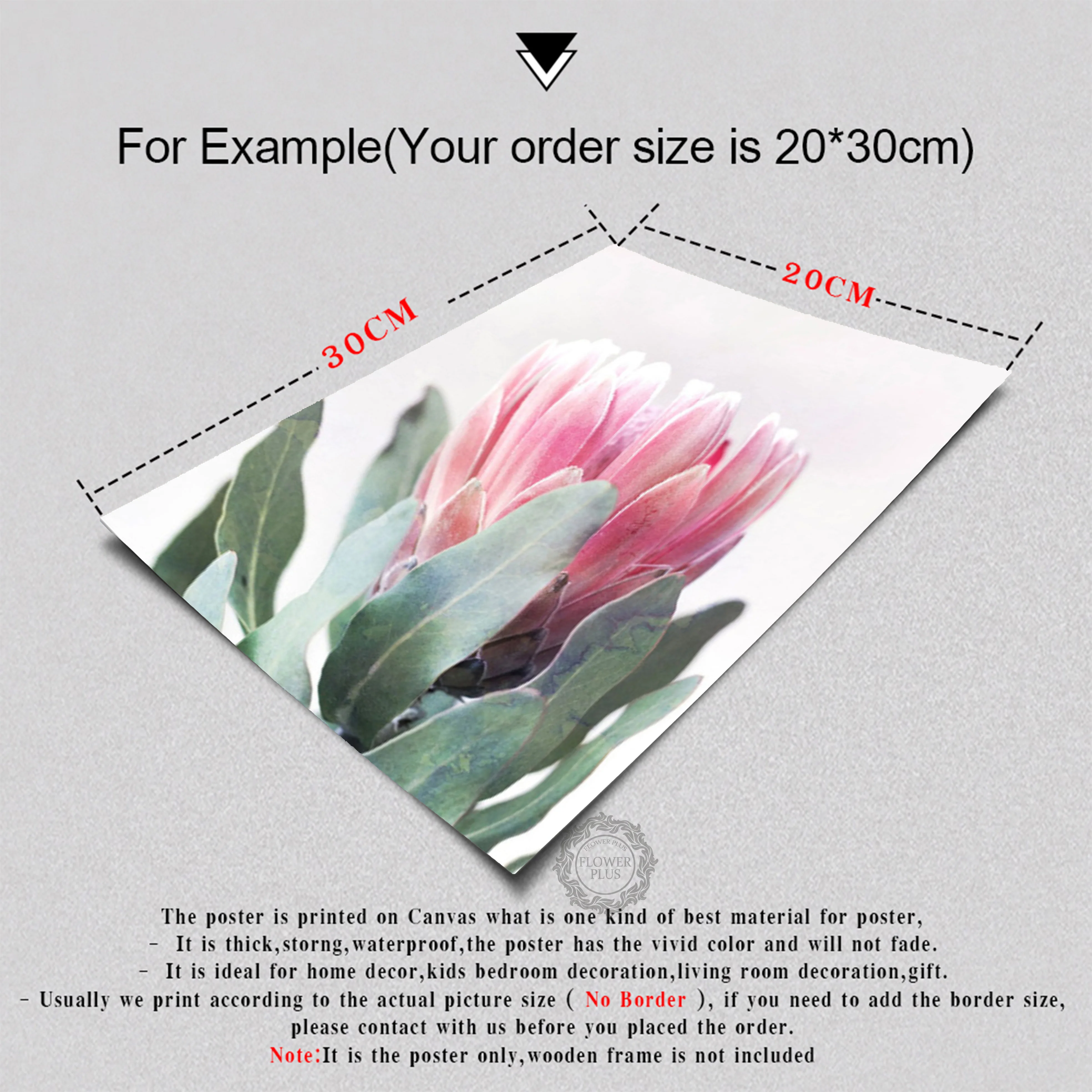 

Pink Tulip King Protea Love Quote Nordic Posters And Prints Wall Art Canvas Painting Wall Pictures For Living Room Home Decor