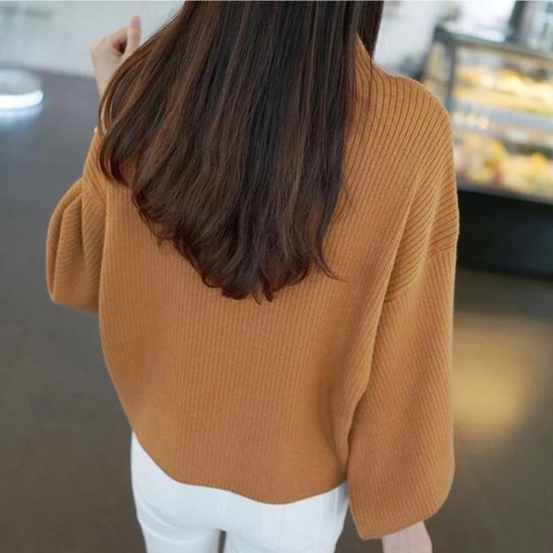 Autumn Winter Sweaters Women 2017 Solid Color Casual Sweater High Quality Turtleneck long Sleeve Loose Batwing | Женская одежда