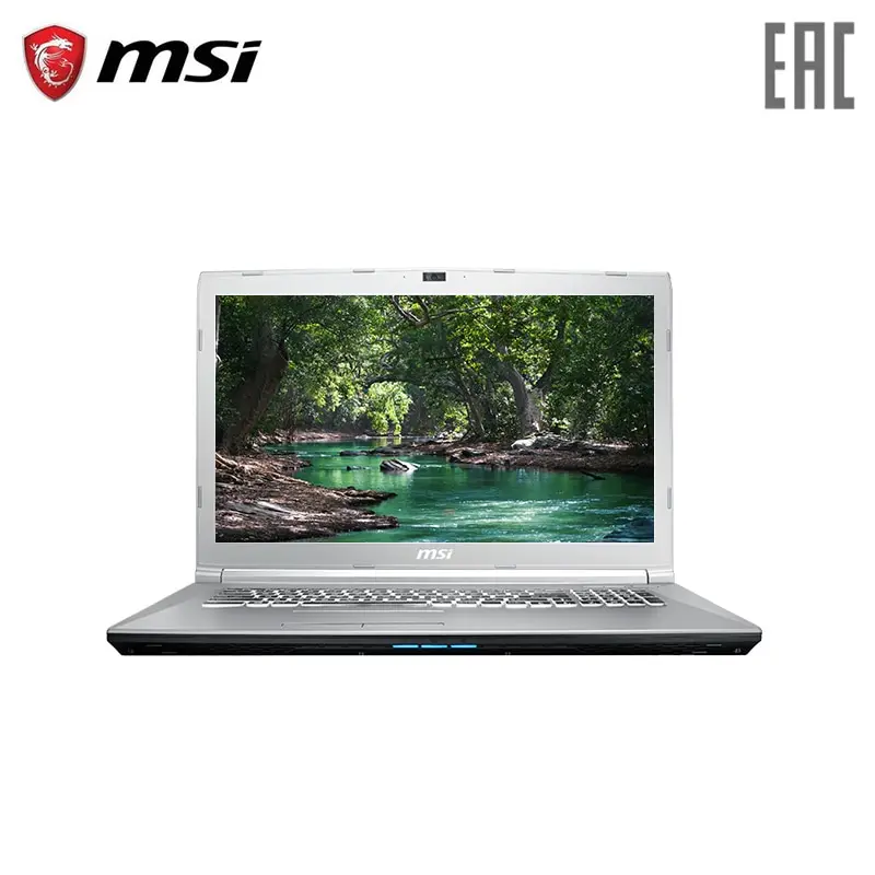 Ноутбук игровой MSI PE72 8RD 17 3 &quot/i7 8750H/8 ГБ/1 ТБ/GTX 1050/NoODD/Win10/серебро (9S7 179F43 070)|Ноутбуки| |