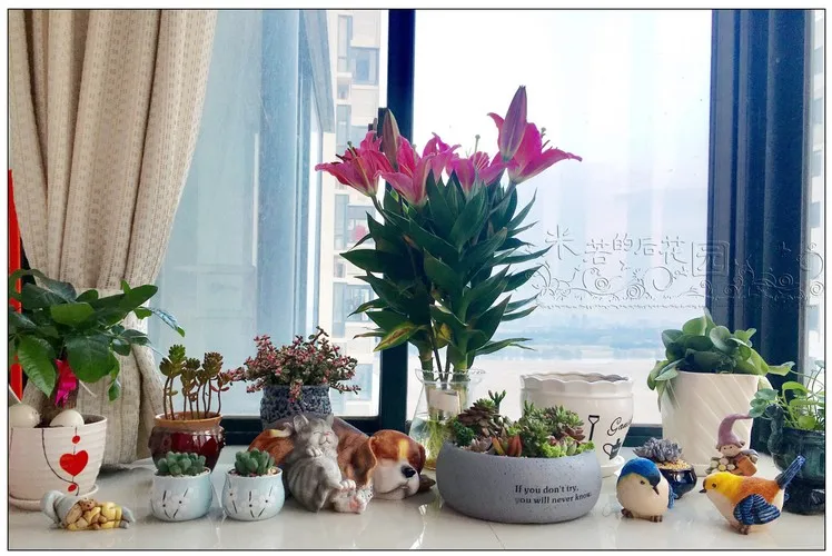 Смола кошка собака сад лес открытый патио терраса скульптура орнамент Животные