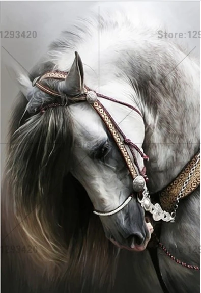 Diy 5D алмазная Картина лошадь Рукоделие Вышивка крестом Алмазная мозаика Полный