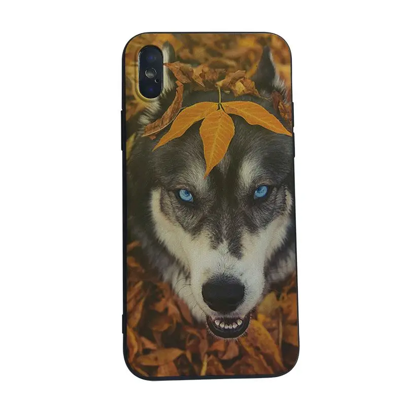 6 Милый чехол для телефона Yinuoda Husky для iPhone11 Pro Max 8 8plus 7 7plus 6 6plus 5 5S 5c SE Чехол для мобильного телефона - Цвет: 6