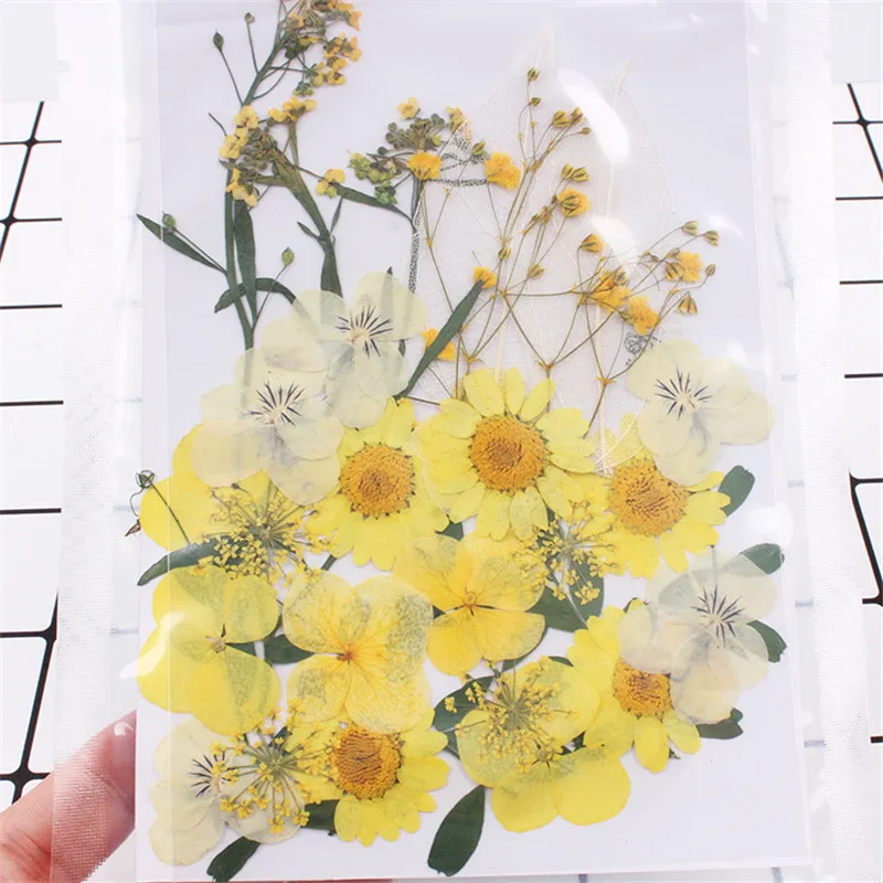 Прессованные натуральные сухие цветы для изготовления ювелирных изделий из