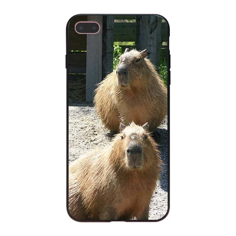MaiYaCa Animal Funny Capybara Специальное предложение Роскошный чехол для телефона iPhone 8 7 6 6S Plus X XS XR XSMax 5 5S SE Coque Shell