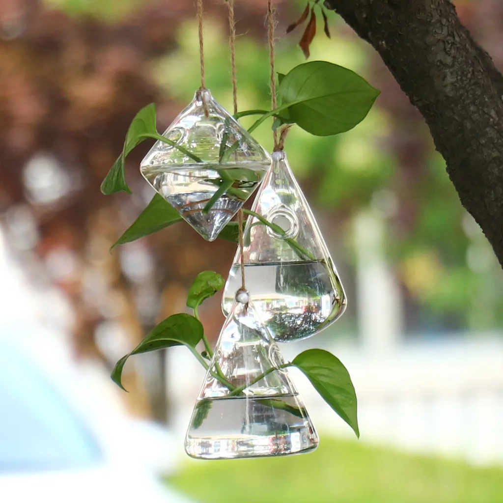 Стеклянные кастрюли настенные подвесные круглые для растений настенный