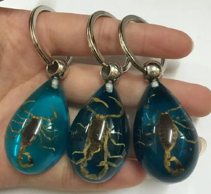 Высокое качество 12 шт. настоящее насекомое брелок образца ЗОЛОТОЙ СКОРПИОН в