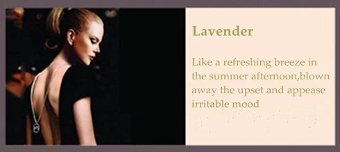 Lavender Автомобильный ароматизатор, автомобильный ароматизатор, 100 ароматизатор, автомобильный освежитель воздуха, Ароматический диффузор, ароматизатор, аксессуары для увлажнителей - Название цвета: Lavender