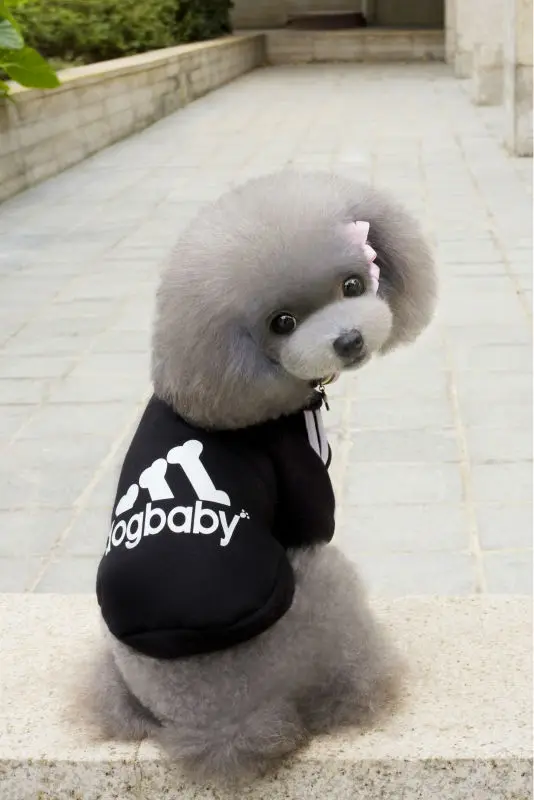 FA132 Бесплатная доставка зимняя хлопковая одежда для собак теплые худи щенков с