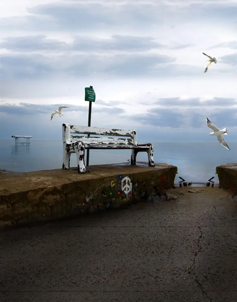 

5x7ft Sea Old Chair Seagull Photography Backdrops Photo Props Studio Background