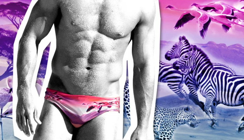 Swimming Men Beach Pool Sexy Swimsuit Hot Swim Trunks Speedo Swimwear Man Low Waisted Boy Swimming Wear Print Animal Birds Swim