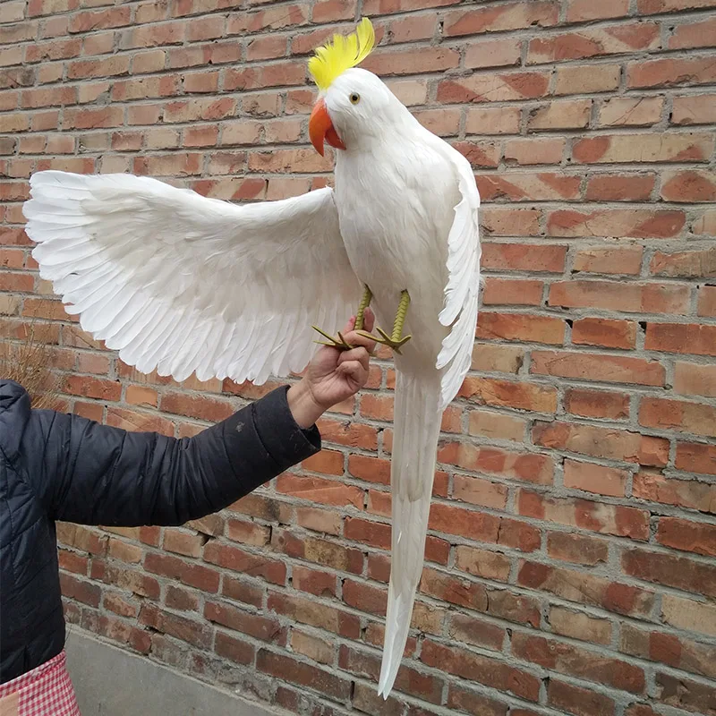Перышки птицы из настоящей жизни hello 'wings parrot огромный 100 см белый попуги какаду