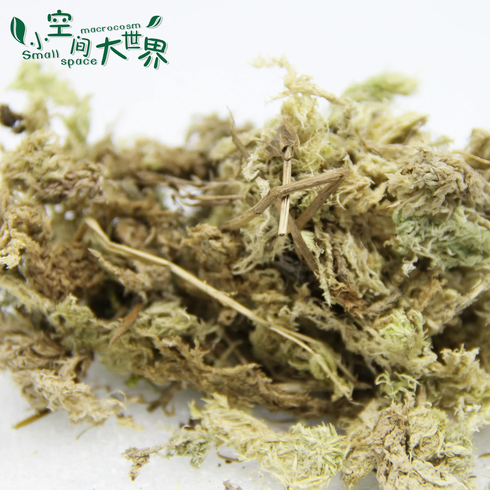 10 г/пакет Высококачественная сухая сфагнемная питательная почва для посадки