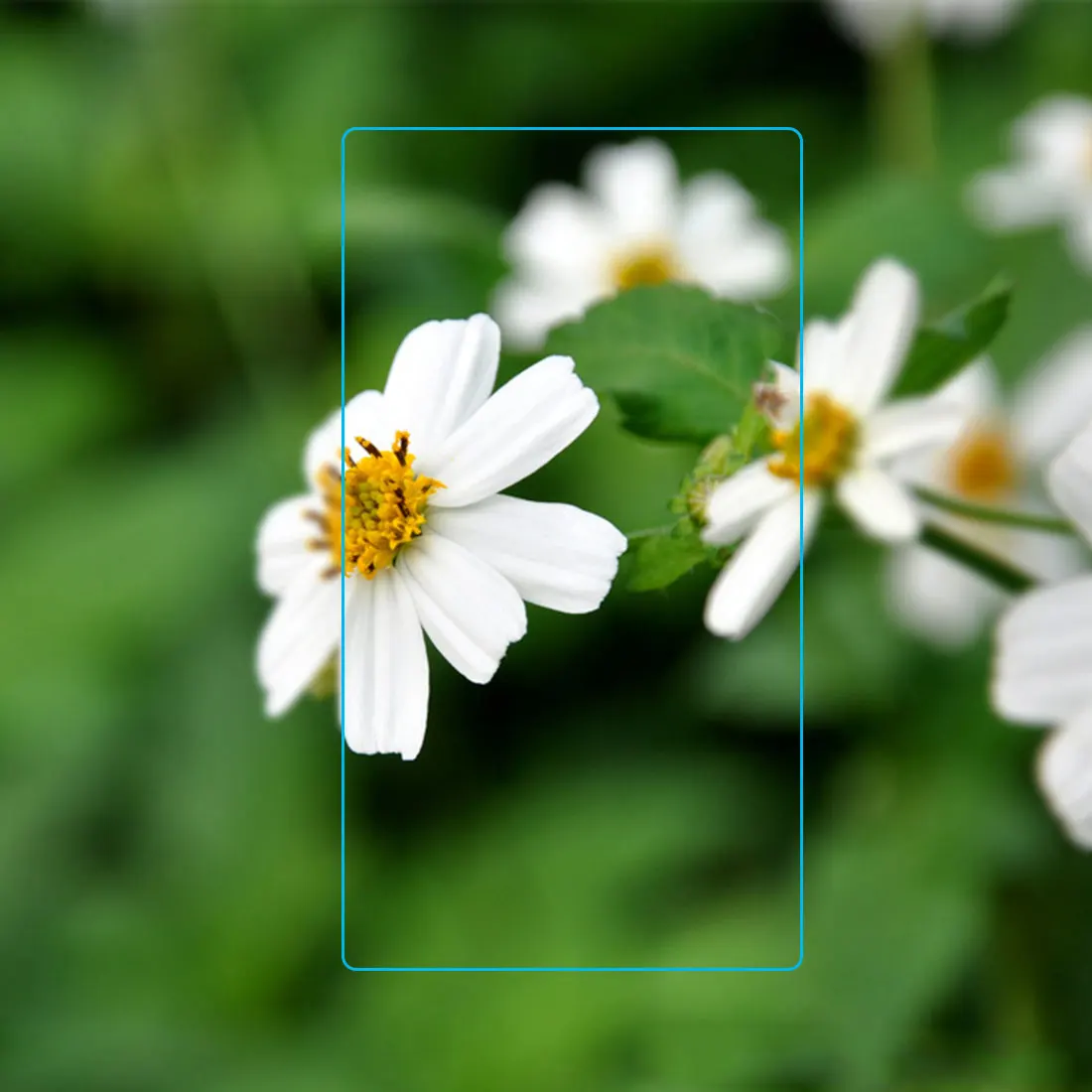 Закаленное стекло премиум класса Etmakit 0 33 мм для LG G5 G6 K4 K8 2017 Защитная пленка