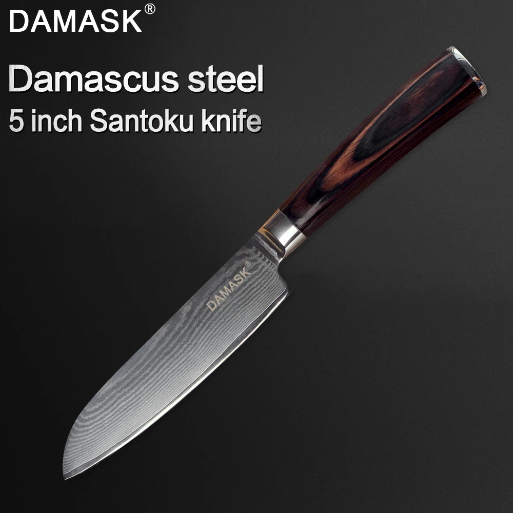 ZINZUO дамасский кухонный нож VG10 Balde шеф-повара 5 дюймов Santoku японский 67 слой стали Pakka