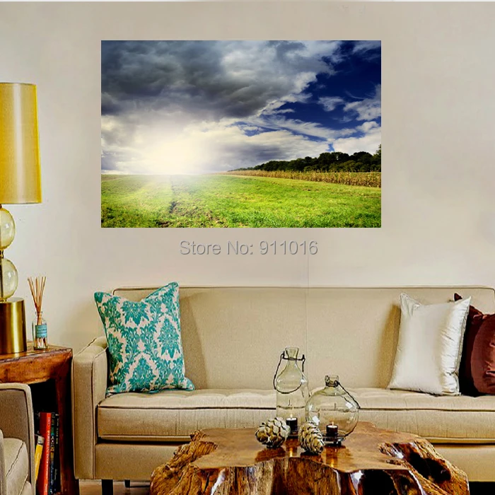 Красивое платье для современных Луг Wall Art домашний декор пейзажная печать