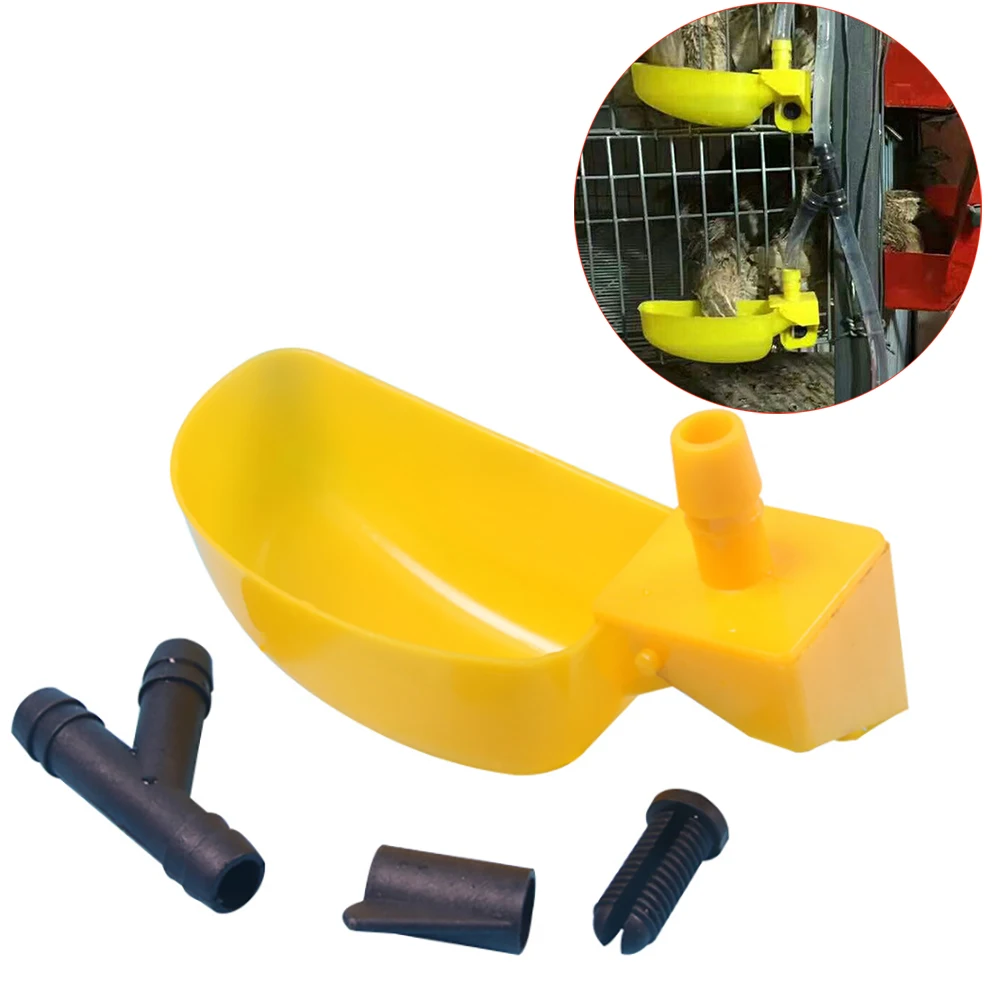 4pcs Supply water nipple poultry supplies farming drinkers cups box pets birds budgies bowls drinker automatic plastic drinking