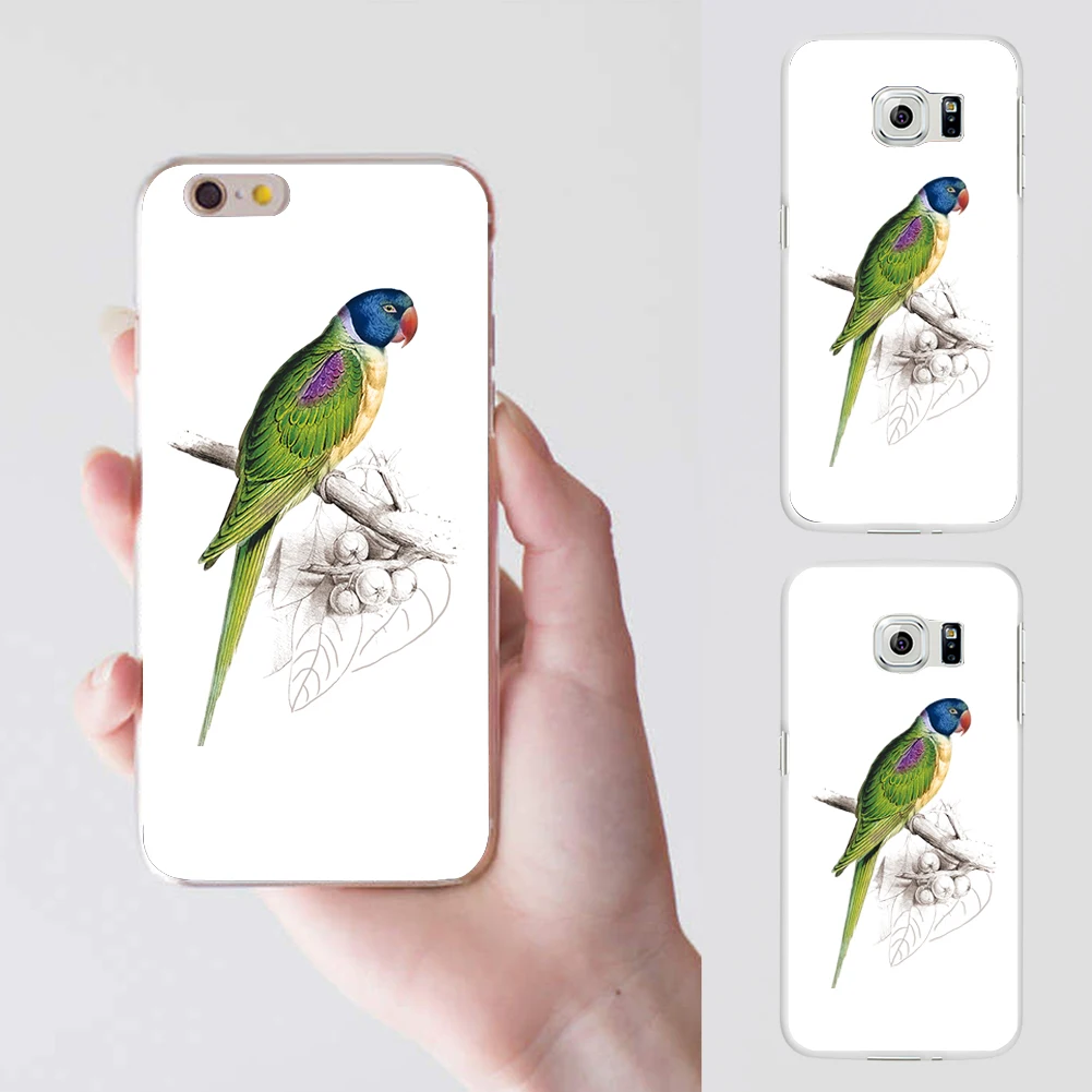 Милый Попугай телефон защитный чехол Крышка для iPhone 6 7 Samsung Galaxy S6 S7|cover for iphone|case