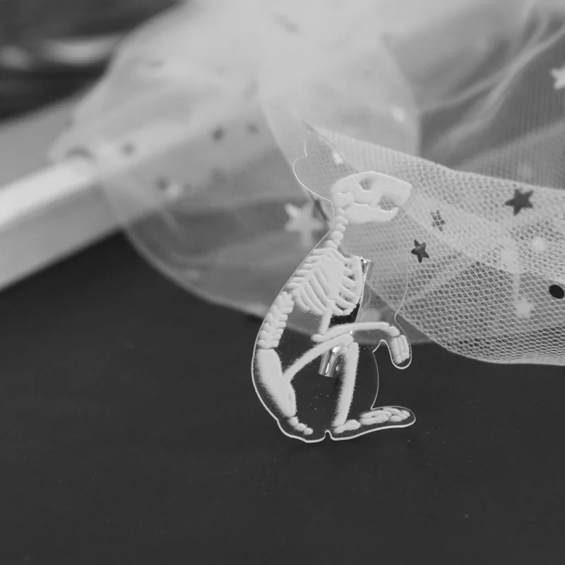 Новый дизайн Панк Смола Прозрачный Скелет животные птица кошка брошь Собака