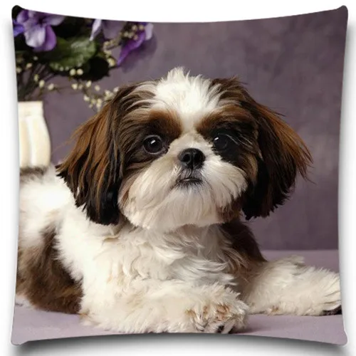 Квадратные наволочки с изображением собаки на траве хлопковые Полиэстеровые 5