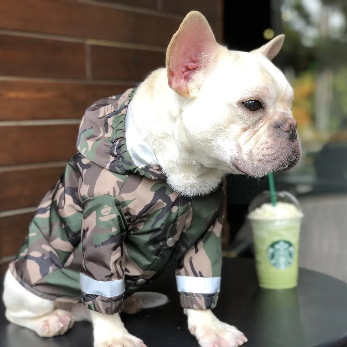 Pet Dog Raincoat Clothes Waterproof Raining Rain Coat For Big Dogs Camouflage Outdoor Costumes French Bulldog |