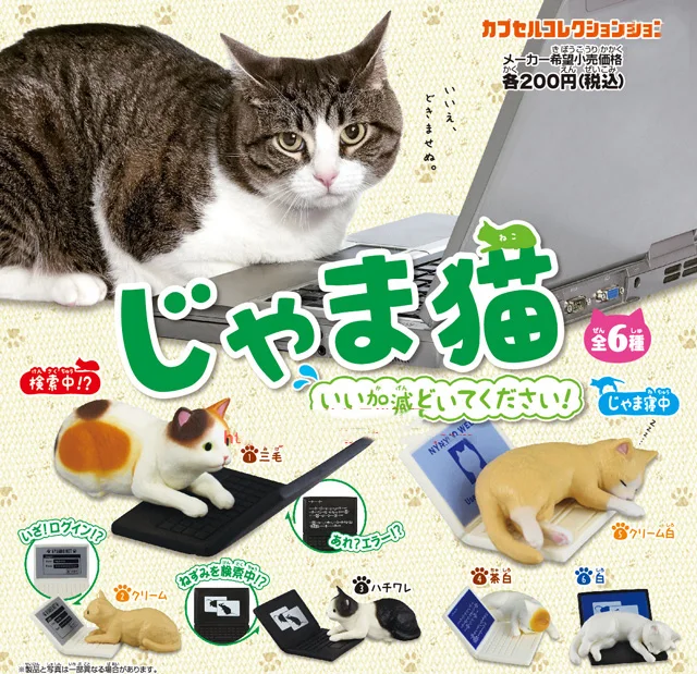 Япония оригинальный pet Capsule игрушечные лошадки 6 шт. Britsh короткошерстная Ragdoll