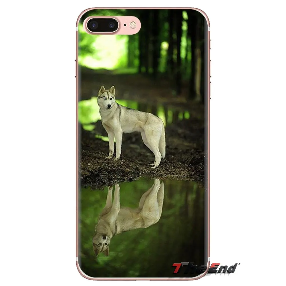 Soft Transparent Cases For Huawei Mate Honor 4C 5C 5X 6X 7 7A 7C 8 9 10 8C 8X 20 Lite Pro Siberian Husky Dog puppies Art Pattern |