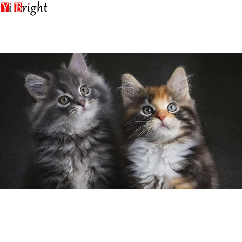 

3D Алмазная живопись в виде кошки, «сделай сам», вышивка крестиком, животное, Алмазная мозаика, украшение для дома в европейском стиле lk1